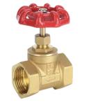 Corrosion Resistant Stop Gate Valve 200 PSI Pressure Rating Durable NPT BSP