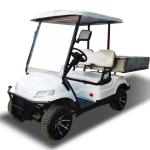 2023 Hot Sale Customised Electric Community Golf Carts UTV 30Mph with CE