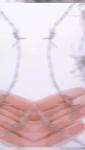 Galvanized Steel Wire Top Sale Electro GI Barbed Wire 50 KG Per Roll For