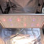PWM 2x2 Led Grow Light