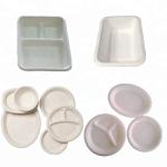 Recycling Thermoforming Machine For Food Packaging