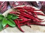 Calcium Rich Dried Birds Eye Chilli For Bold And Spicy Culinary Creations