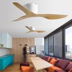 Factory Best-selling BLDC American Style Retro Decorative Fan Ceiling 220V