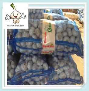 Wholesale High Quality Best Price Chinese Fresh Garlic In 10Kg/ctn For Sales from china suppliers