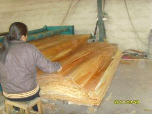 Wholesale Furniture Birch Wood Veneer from china suppliers