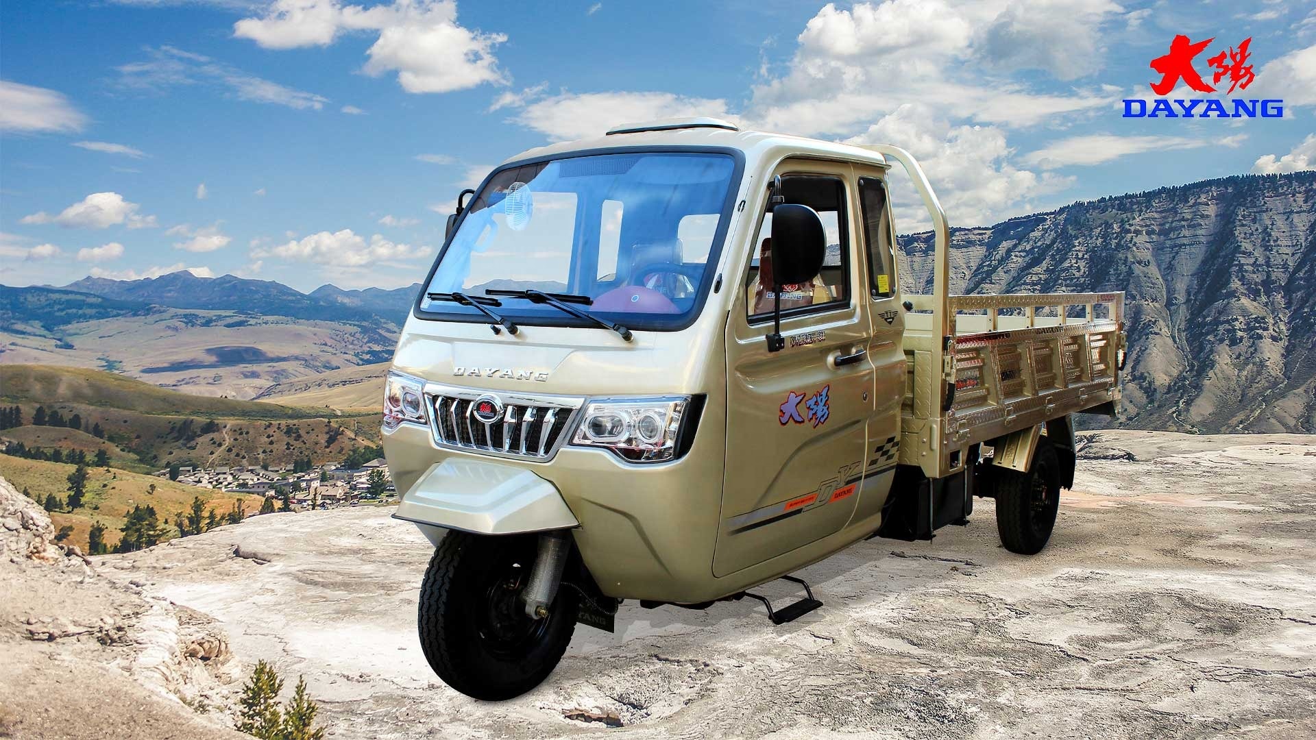 Affordable and Motorized Tricycles for Adults Maximum Speed ≥70Km/h Displacement 250cc