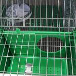 12 Mums Commercial Farm Rabbit Cage High Rearing Efficiency Smart Drinking /