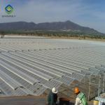 Fruits 0.4KN/M2 4m Height Commercial Glass Greenhouse