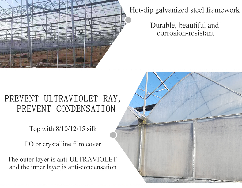 Multi-Span Agricultural Greenhouses Double Layer Vertical Hydroponic System Upgrade