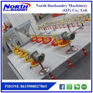 Wholesale Automatic poultry farm equipment for chicken raising from china suppliers