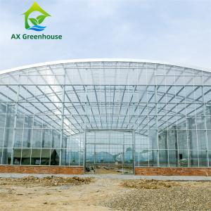 Wholesale Waterproof Multispan Agricultural Glass Greenhouse Large Venlo Shading Greenhouse from china suppliers