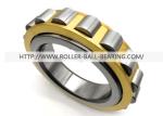 RN219M Single Row Eccentric Bearing For Speed Reducer Bearing RN219M+35