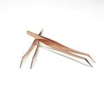 Stainless Steel Professional Eyelash Tweezers Anti Corrosion Custom Logo