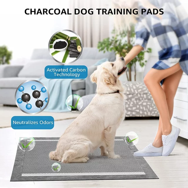 Disposable Training Pet Pads in Customized Color with Polyester SAP Non-woven Fabric