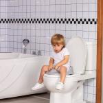 Environmentally Friendly Baby Toilet Seat Infant Toilet Training Seat OEM ODM