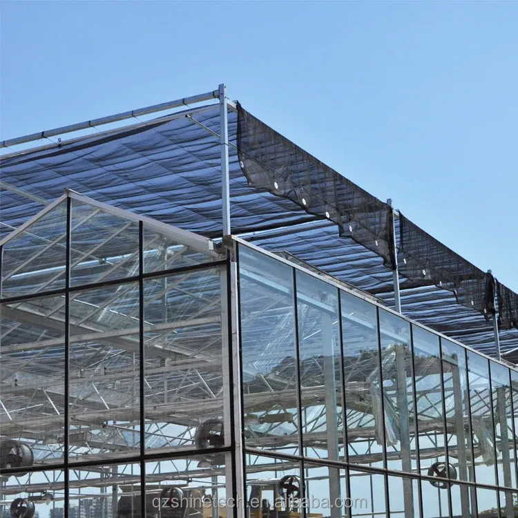 Galvanized Steel Frame Glass Covered Agriculture Greenhouse with Installation Drawing