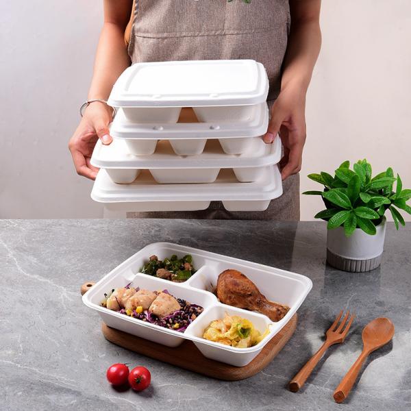 Biodegradable Disposable Pulp Tableware Packaging Eco-Friendly Solution for Lunch Box