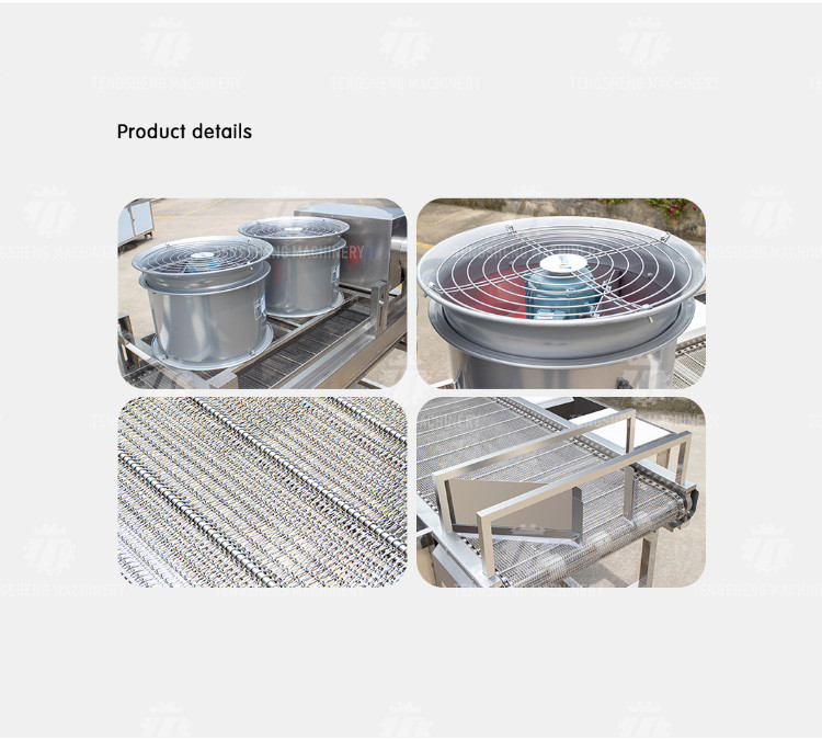 2KW Vegetable Processing Machine Stainless Steel Fruit Drying Selection Machine