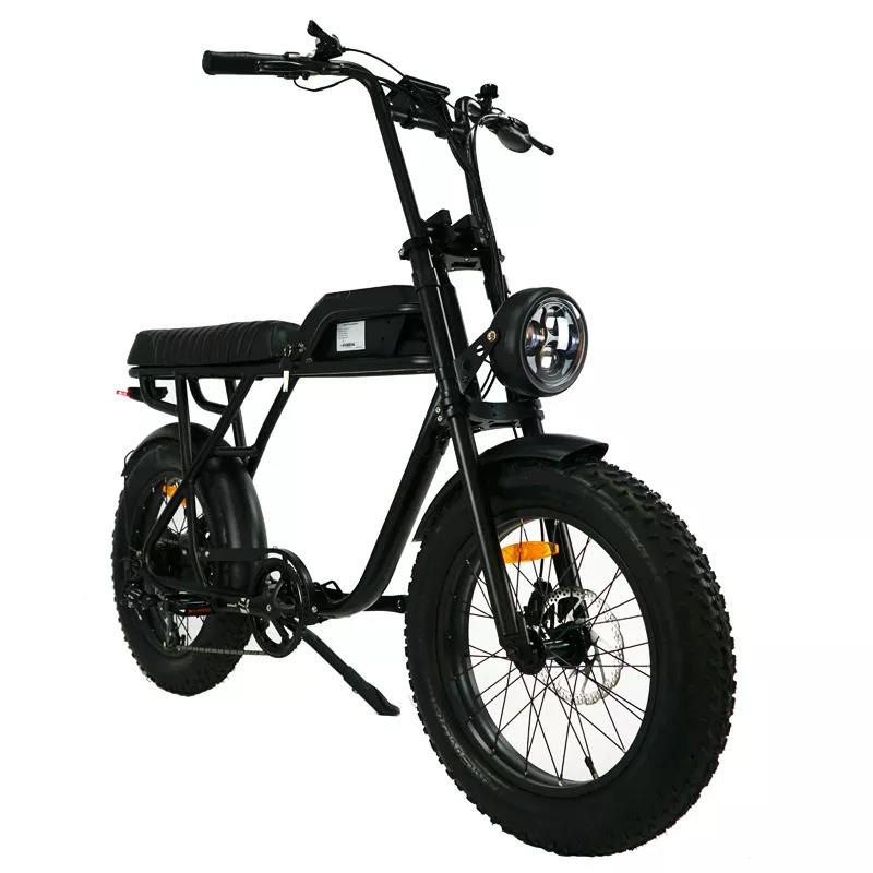 48v 500w E Bike 2 Seat Fast Speed Electric Snow Beach Bicycle with Customized Design