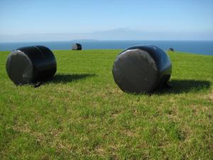 Wholesale Black Color Silage Film for Ireland from china suppliers