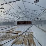 Custom Tunnel Greenhouse 8x30m Agricultural Greenhouse Kit For Planting
