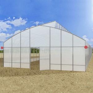 Wholesale Anti Dripping Plastic Film Greenhouse 10m Width For Tomato Planting from china suppliers