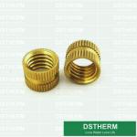 Customized Designs CPVC Fittings PVC Fittings Brass Inserts Brass Color Female