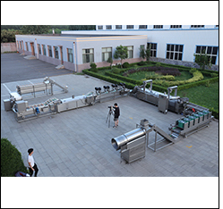 Custom Processing Potato Chips Automatic Frozen French Fries Production Line in Algeria