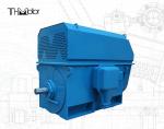 YX 6kv 10kv 3 Phase Asynchronous High Rpm High Voltage Electric Motors IC611