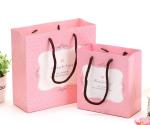 Beautiful Custom Printed Paper Bags Art Paper Material Any Size Available