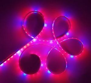 Wholesale 5050 SMD Waterproof Indoor Plant Grow Lights from china suppliers