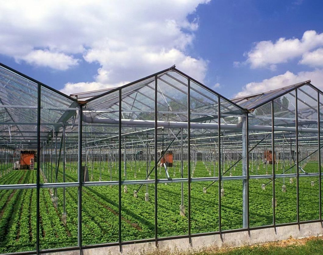 Commercial Heating Method Garden Glass Greenhouse