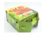Professional Fresh Fruit Shipping Boxes EB Flute Waterproof Corrugated Boxes