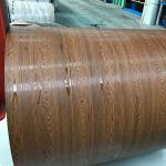 DIN 17162 Prepainted Galvanized Steel Coil Cold Rolled Ppgl Iron Metal