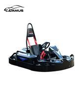 Wholesale 165Kg Sport Go Kart 48V 2H Charging Battery Powered Go Kart from china suppliers