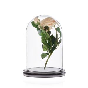 Wholesale Preserved Rose Display Glass Homeware Cloche Cover with Black Wooden Base from china suppliers