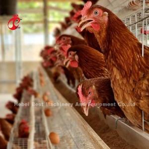 Wholesale Most Popular Battery Cage Price In Nigeria Poultry Farming Hot Galvanized Adela from china suppliers