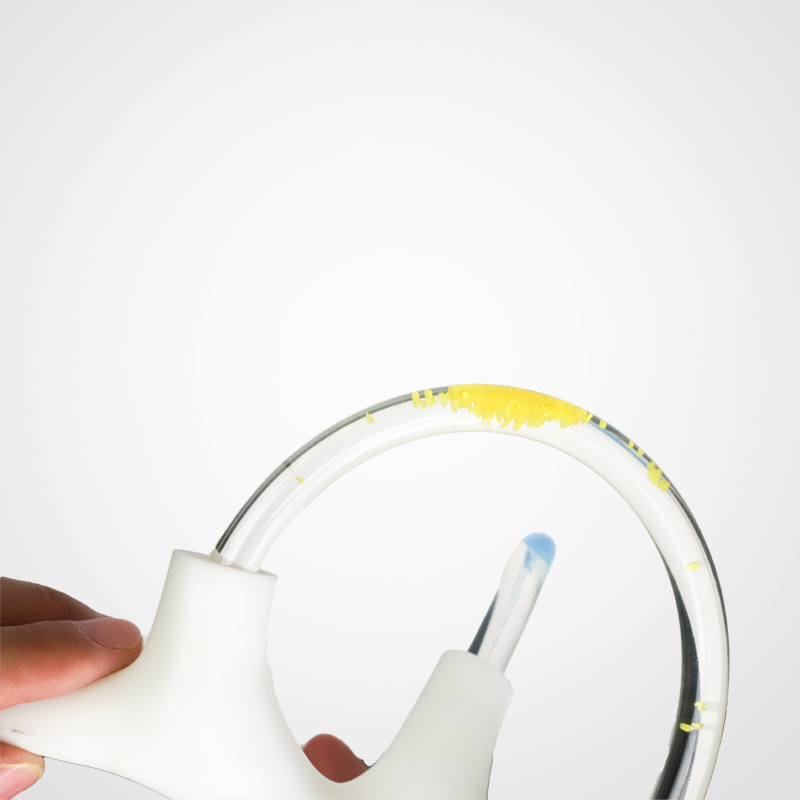 Vertigo Cochlea Inner Ear Cranial Nerve Rehabilitation Anatomical Function Didactic Demonstration Semicircular Canal