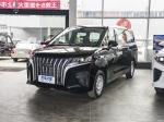 Family Business Dual Purpose MPV Vehicles Gasoline Light Duty Cargo Vans