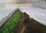 Lightweight Agriculture Non Woven Fabric Various Colors Available