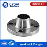 En1092-01 Raised Neck Flange PN 320 Carbon Steel Weld Neck Flanges for Water