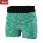 Elastic High Waistband Wicking Wholesale Women Running Sports Yoga Shorts