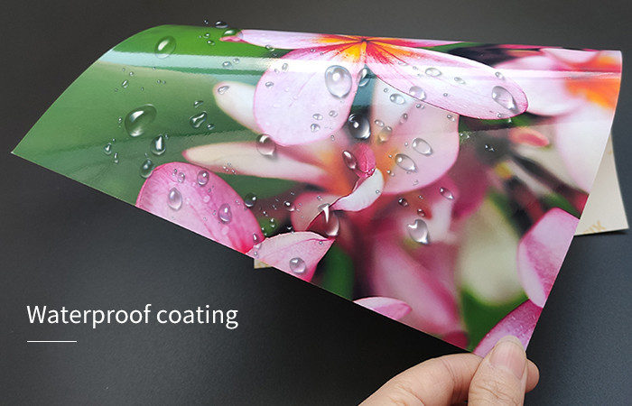 Inkjet Glossy Photo Sticker Paper Self Adhesive Waterproof Label Sheets