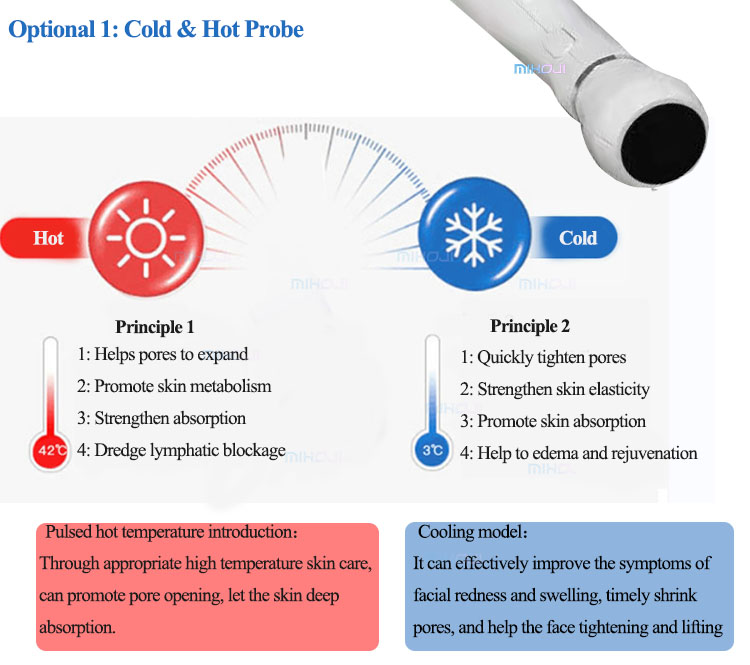 AU Plugs Type 89W Plasma Facial Machine Customized For Spot Removal