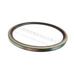 DZ9112340152 Auman Rear Wheel Oil Seal 185*210*11(right&left) TB type, Long