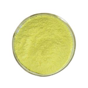 Wholesale 99% Pure Quercetin Dihydrate Powder Natural Sophora Japonica Extract CAS 6151-25-3 from china suppliers