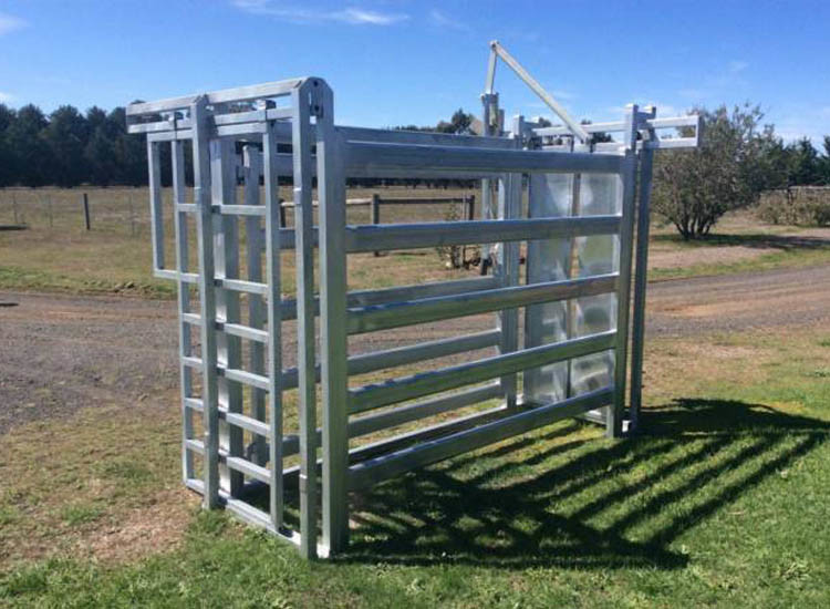 Economy Cattle Crush