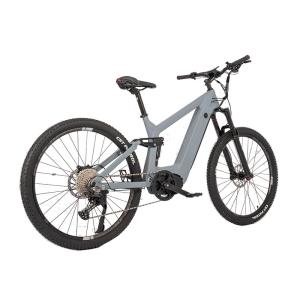 Wholesale APT 860C Color Display 48V Mountain Fatbike Electric Motorcycles for Adult by DOMANCA from china suppliers