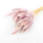 Real Touch Beautiful Dried Flowers Rabbit Tail Grass Preserved Lagurus Ovatus