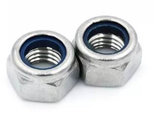 Wholesale Nylon 304 Stainless Steel Heavy Hex Nuts Anti Lock Self Locking M5 - M20 DIN982/889 Standard from china suppliers
